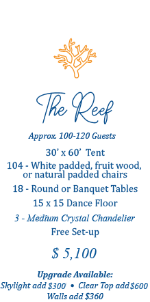 The Reef